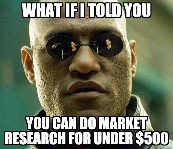 you can do market research for under $500